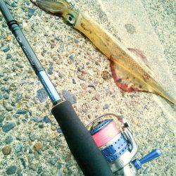 春一番で、やっと釣れた