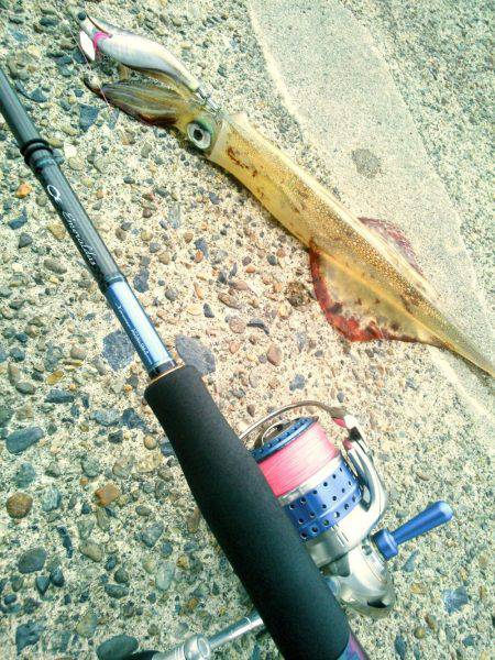 春一番で、やっと釣れた