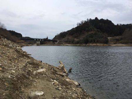 上津ダムのワカサギ、ざっくり束