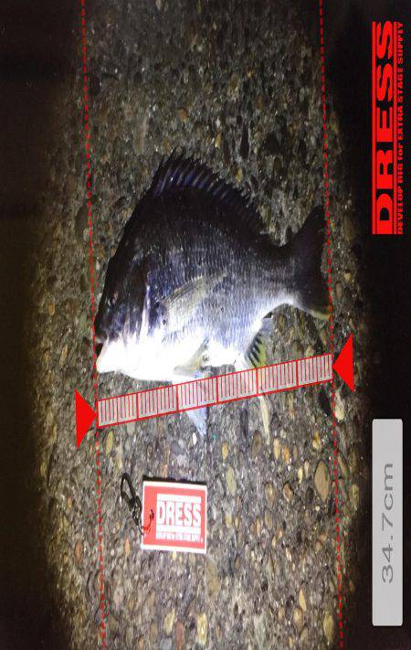 チニング好調！