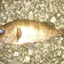 常夜灯周辺で。