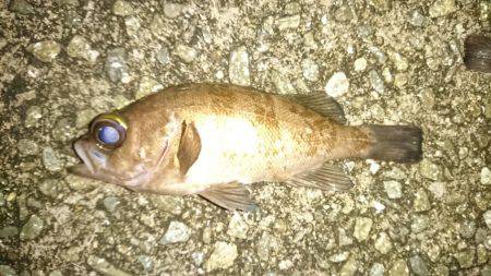 常夜灯周辺で。