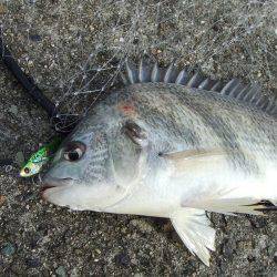 ステッピングでキビレ