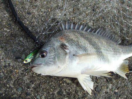 ステッピングでキビレ