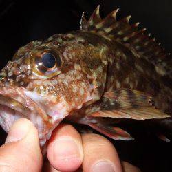 場所移動が正解