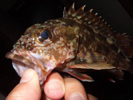 場所移動が正解