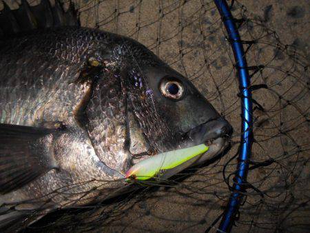 年無しが爆走!!