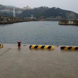 エギング初釣果