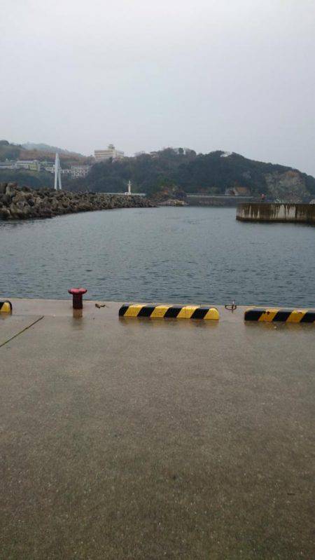 エギング初釣果