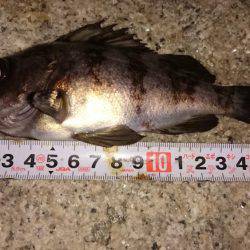 激浅メバリング