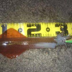 ヤリイカエギング