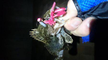 ガシリング南芦屋浜