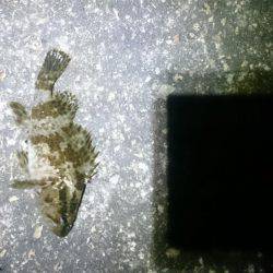 風にも負けず！