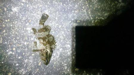 風にも負けず！