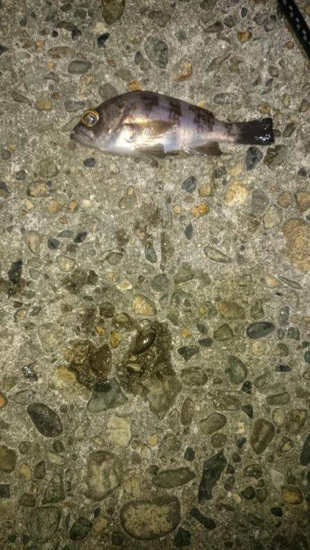 折角、風がないのに！