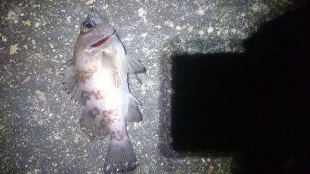 暖かいですが。