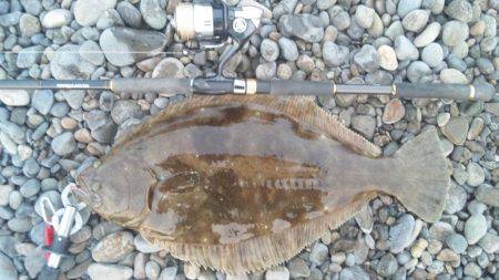 初めて釣りました！！