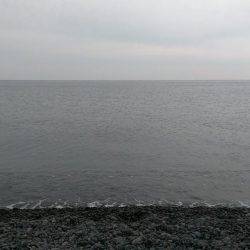 ダツの擦れ掛かり