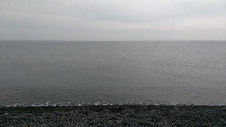 ダツの擦れ掛かり