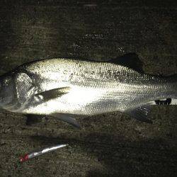 やっとセイゴ脱出！