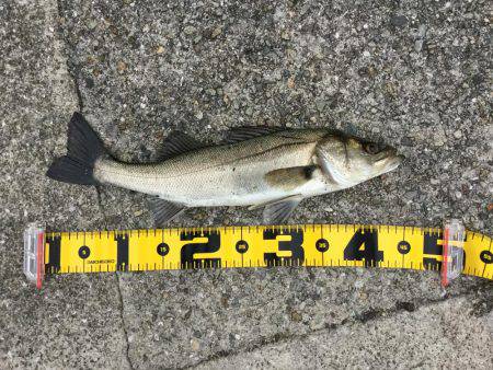 メタルマルのチョンチョンストーン