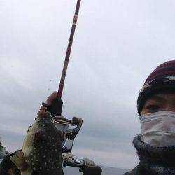 ロックフィッシュデビュー