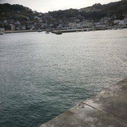 初めて釣れました