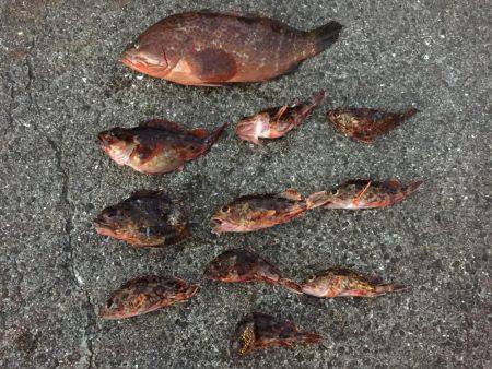 虫ヘッド、初挑戦