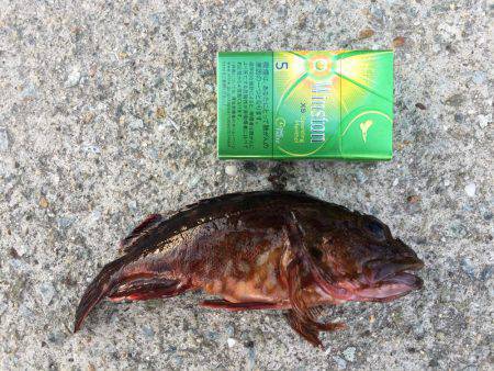 強風の中、何とか