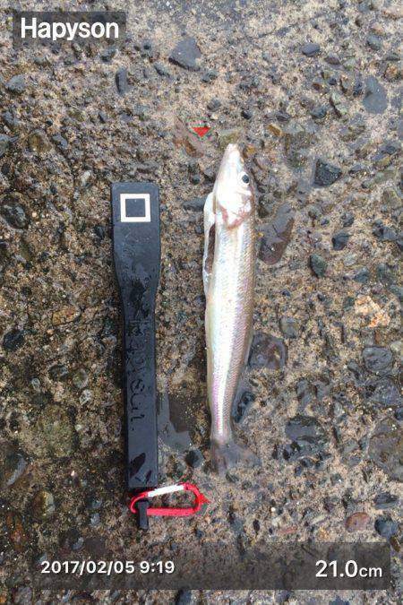 雨の中で投げ釣り