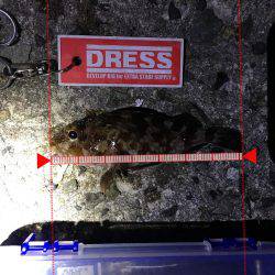 予想外にシブかった