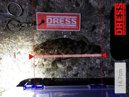 予想外にシブかった