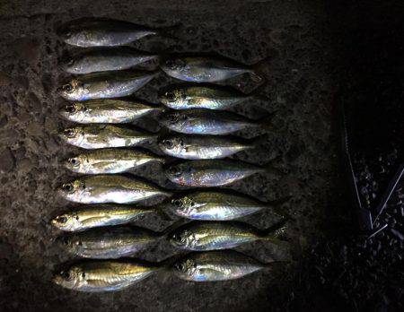 パターン探し。