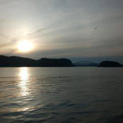 カゴ釣りのちヤエン