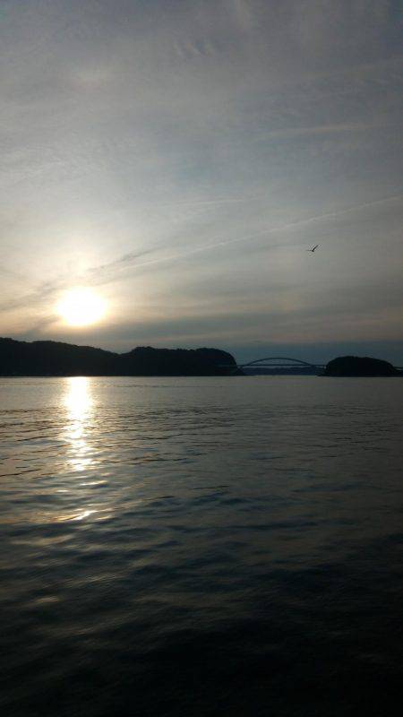 カゴ釣りのちヤエン