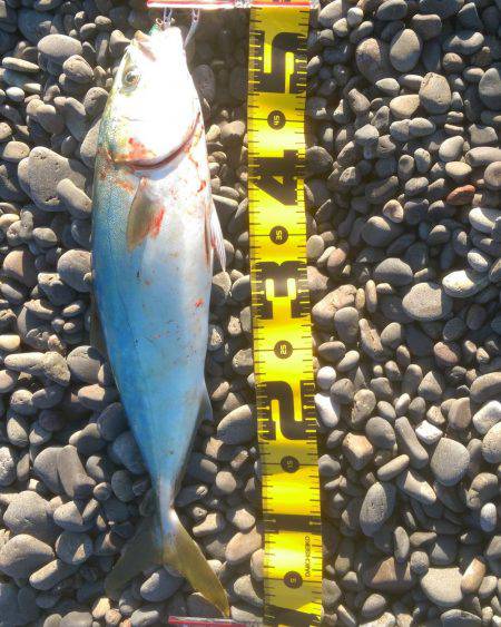 ショアジギング