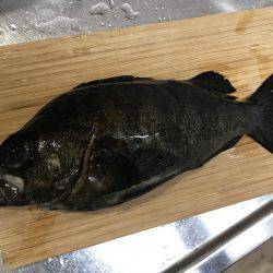 姫路から明石までランガン！