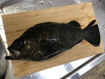 姫路から明石までランガン！