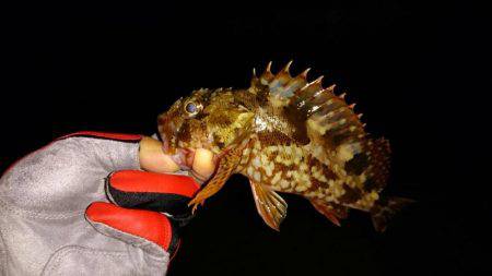 強風の中なんとか、、、