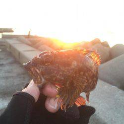 2017年社会の釣行