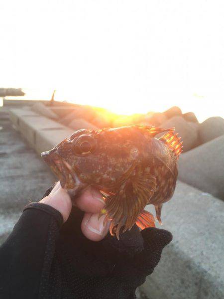 2017年社会の釣行