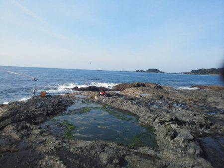 こんなん出ました・・・アオブダイ・・・