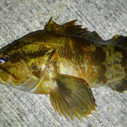 短時間ロックゲーム！