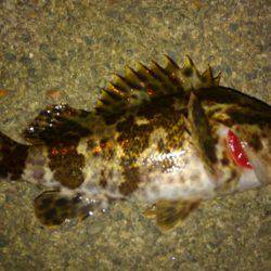 お手軽湾奥ロックゲーム！