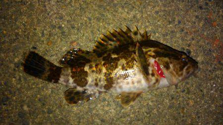 お手軽湾奥ロックゲーム！