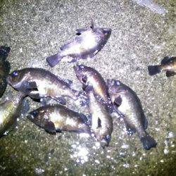 表層アミパターン攻略