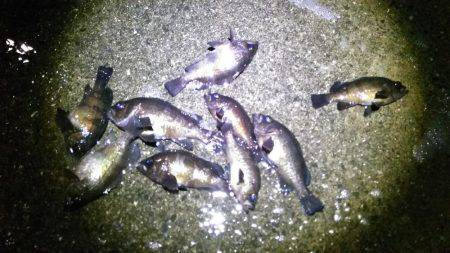 表層アミパターン攻略