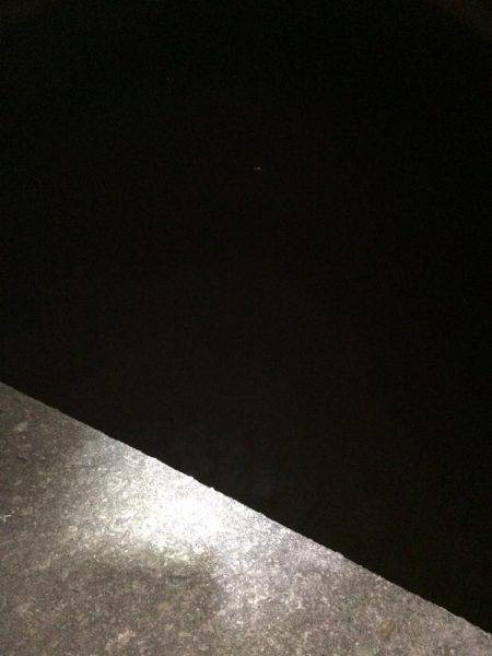 久しぶりの釣行