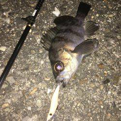 あられに打たれながら…