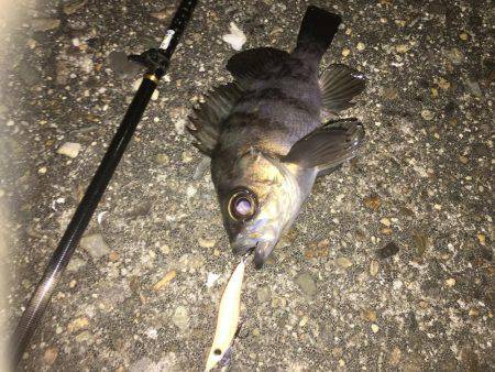 あられに打たれながら…